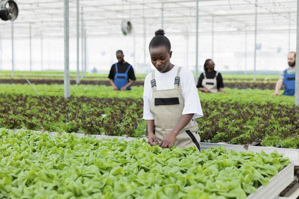 Quelles sont les techniques les plus efficaces pour apprendre une nouvelle langue ?