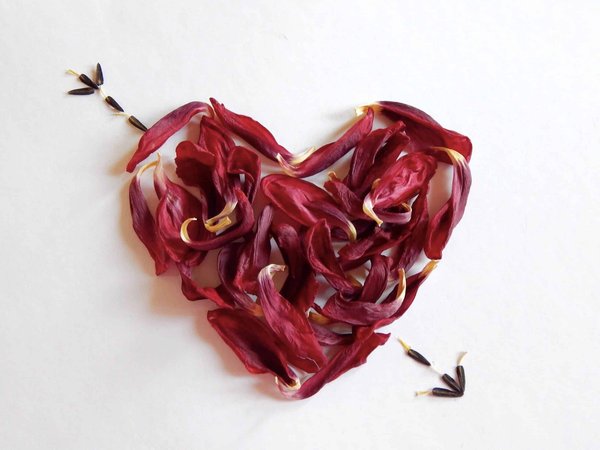 Quels sont les secrets d'une relation amoureuse durable et épanouissante ?